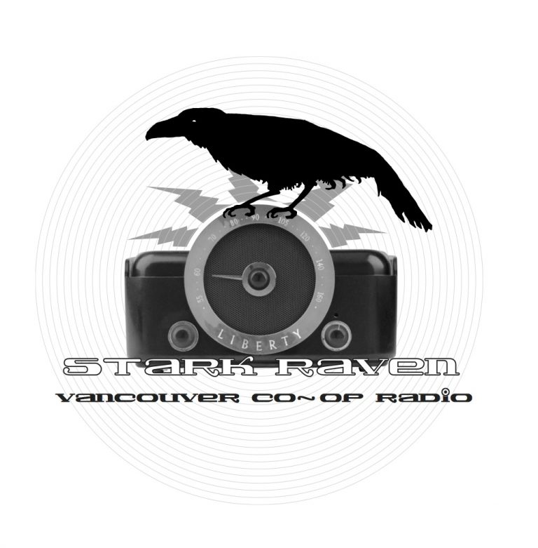 Stark Raven camera logo