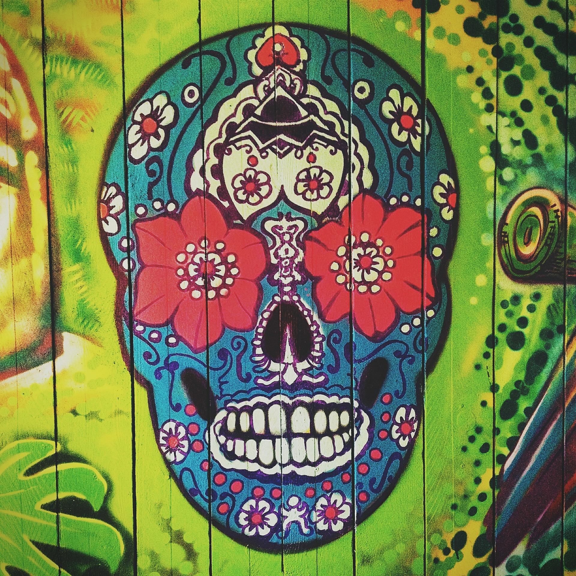 grafitti skull